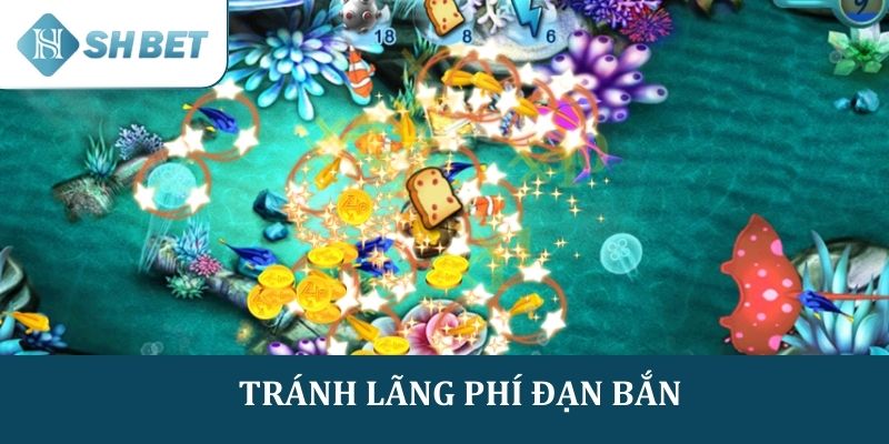 Căn thời điểm phù hợp và tránh lãng phí đạn