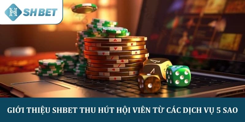 Giới thiệu SHBET thu hút hội viên từ các dịch vụ 5 sao