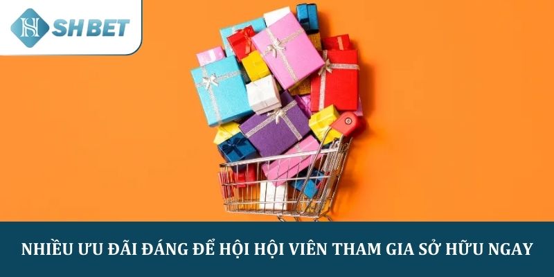 Nhiều ưu đãi đáng để hội hội viên tham gia sở hữu ngay