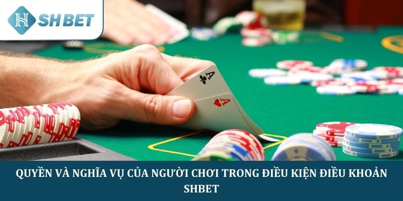 Quyền và nghĩa vụ của người chơi trong điều kiện điều khoản SHBET