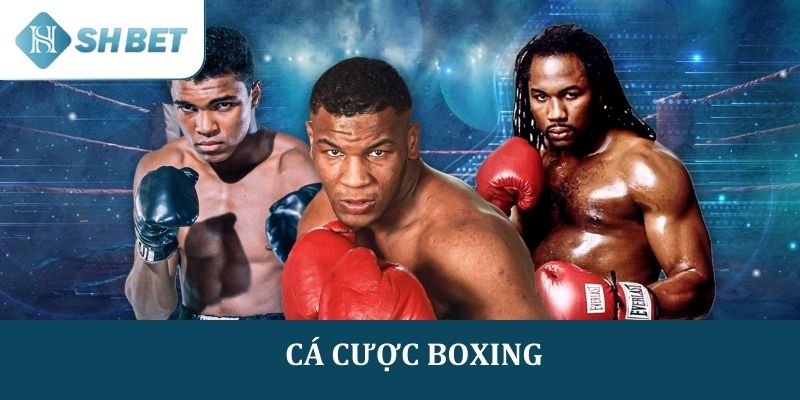 Cá cược boxing