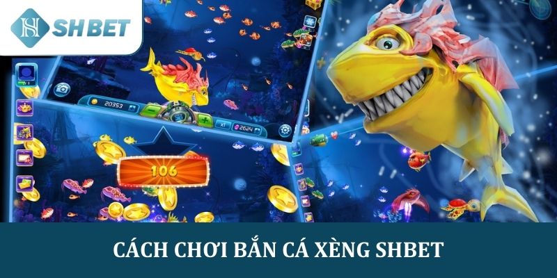 Cách chơi đơn giản trong trò chơi Bắn Cá Xèng SHBET