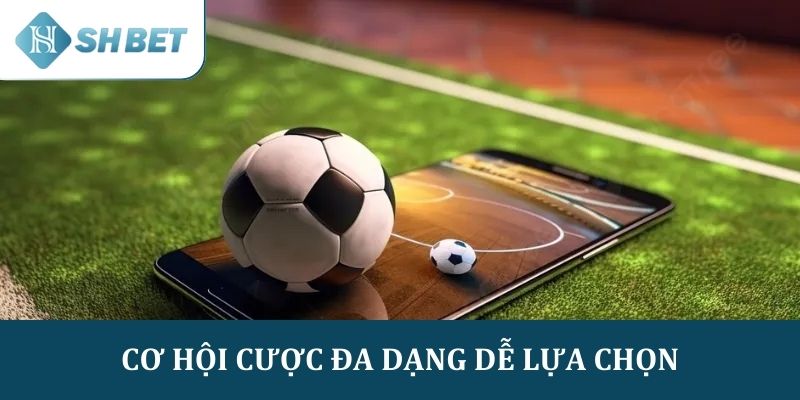 Cơ hội cược đa dạng dễ lựa chọn với nhiều người