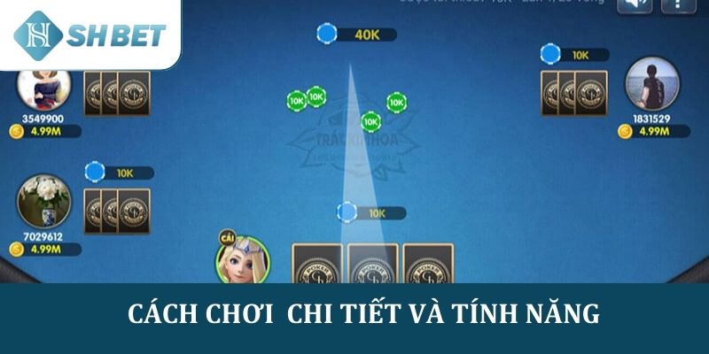 Giải thích chi tiết lối chơi và các tính năng trong Trác kim hoa