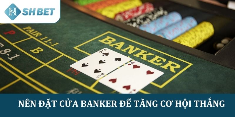 Hãy đặt cược vào "Banker" thường xuyên