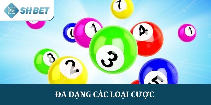 Xổ số miền Bắc đa dạng lựa chọn cược, tỷ lệ thưởng cao